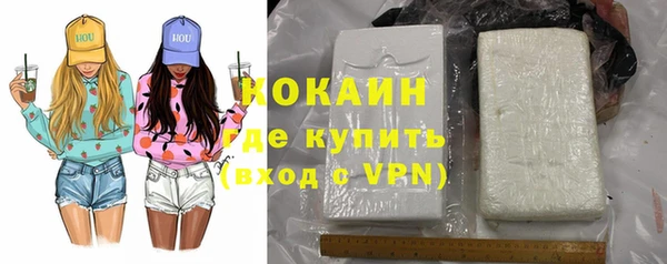 шишки Инсар