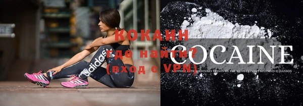 шишки Инсар