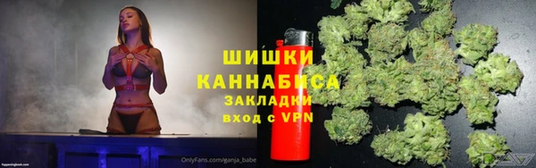 шишки Инсар