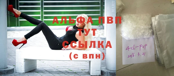 шишки Инсар