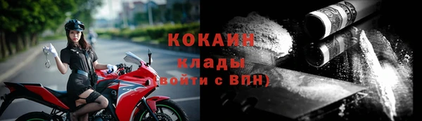 шишки Инсар