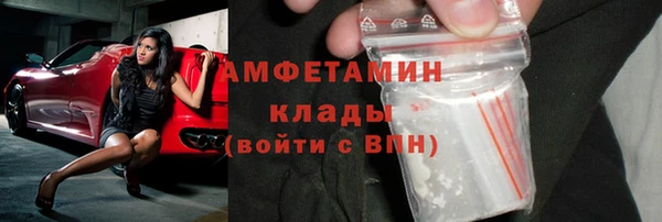 шишки Инсар