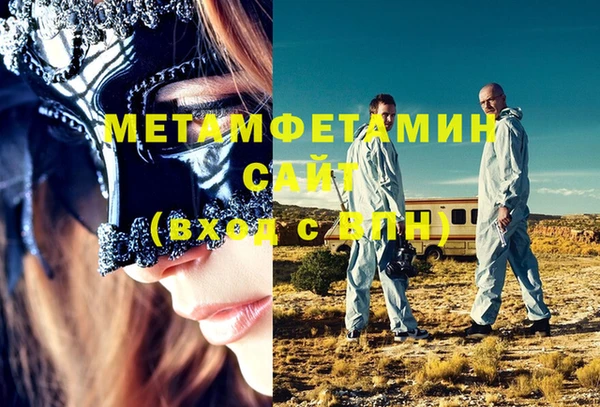 шишки Инсар