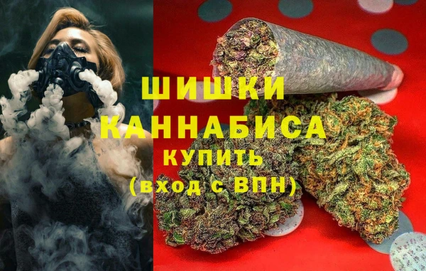 шишки Инсар