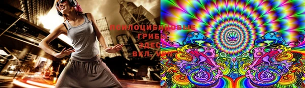шишки Инсар