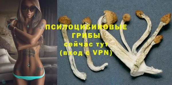 шишки Инсар