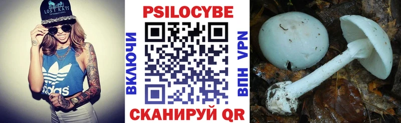 Псилоцибиновые грибы мухоморы  Купить где  Безенчук 